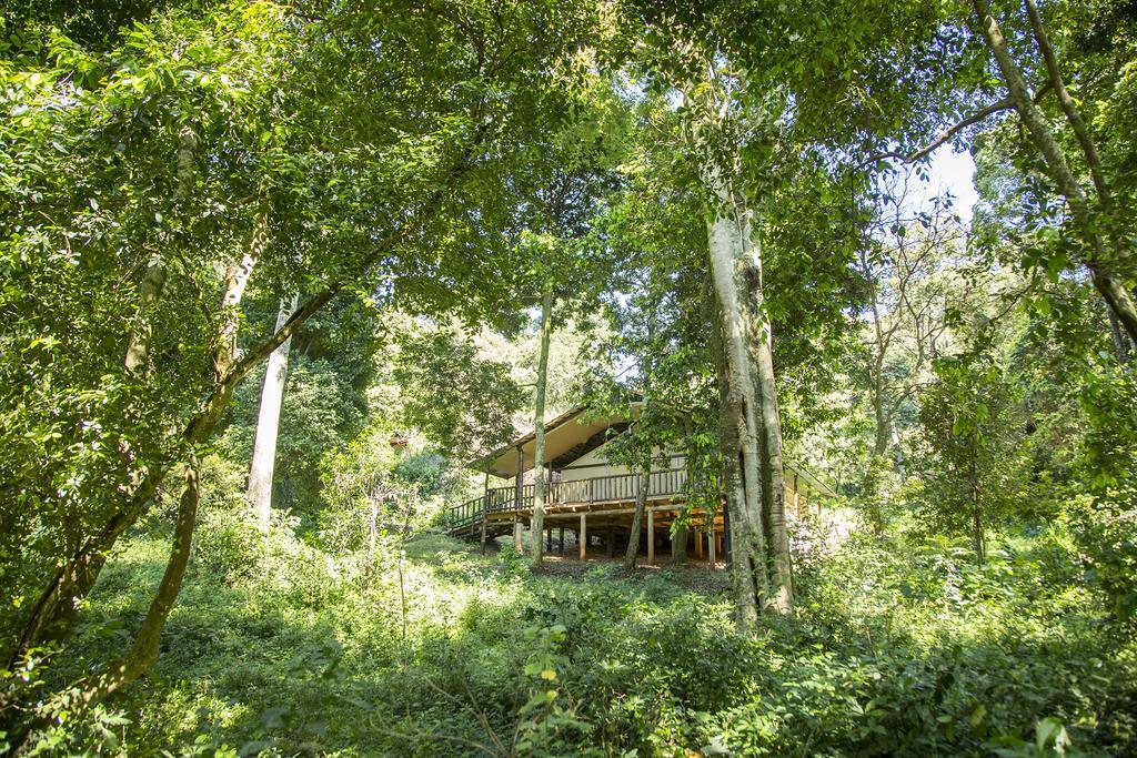 Mara Engai Lodge Lolgorien Екстериор снимка